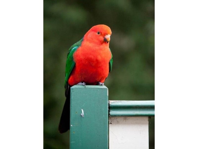 Ma Ma Creek QLD 4347