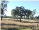 Gatton QLD 4343
