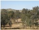 Gatton QLD 4343