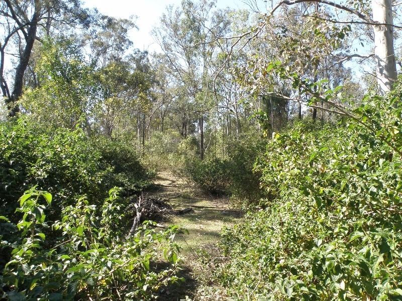 Forest Hill QLD 4342