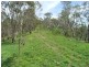 Gatton QLD 4343