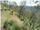 Gatton QLD 4343