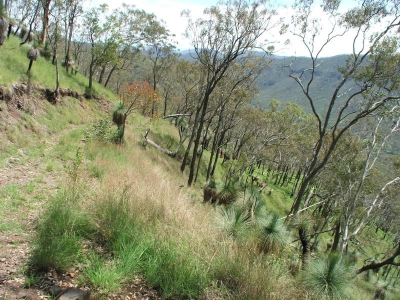 Gatton QLD 4343