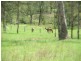 Gatton QLD 4343