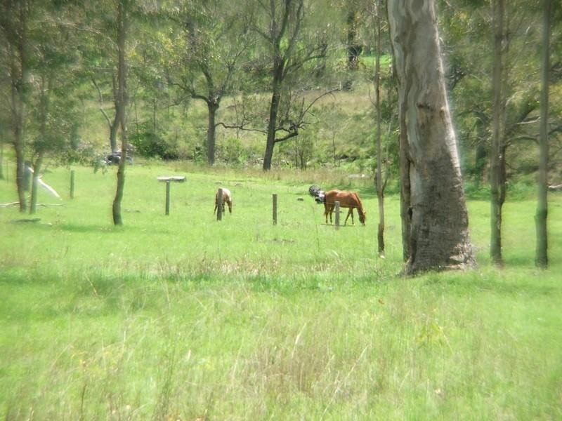 Gatton QLD 4343