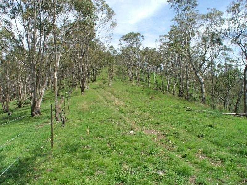 Gatton QLD 4343