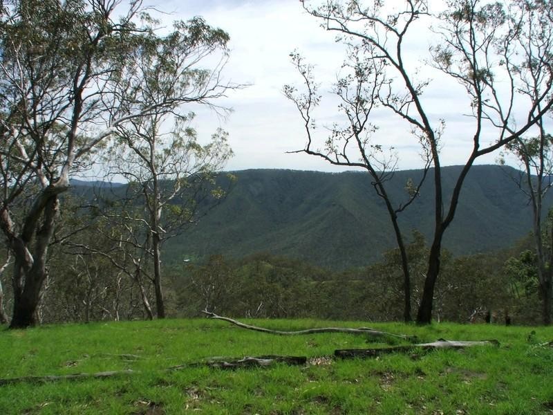Gatton QLD 4343