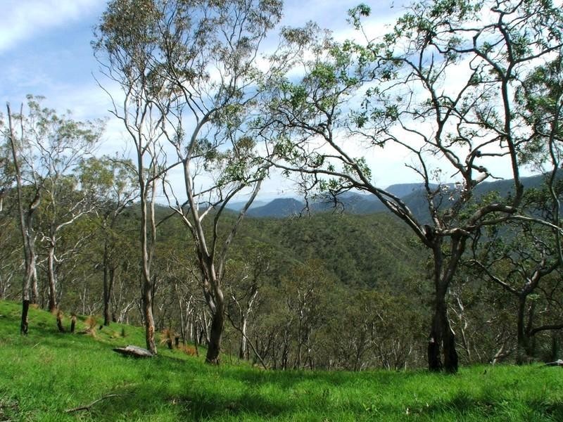 Gatton QLD 4343