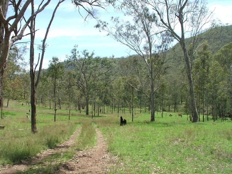 Gatton QLD 4343