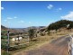 Mount Whitestone QLD 4347