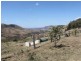 Mount Whitestone QLD 4347