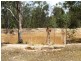 Placid Hills QLD 4343