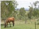Gatton QLD 4343