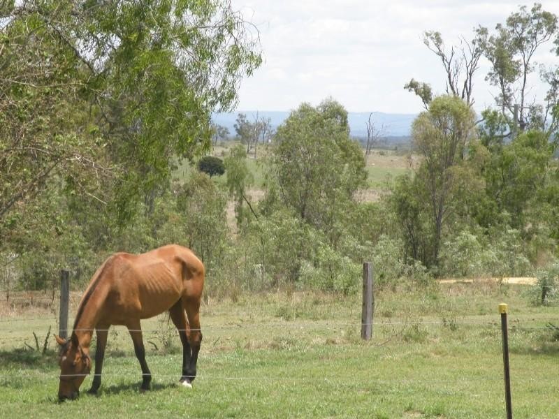 Gatton QLD 4343
