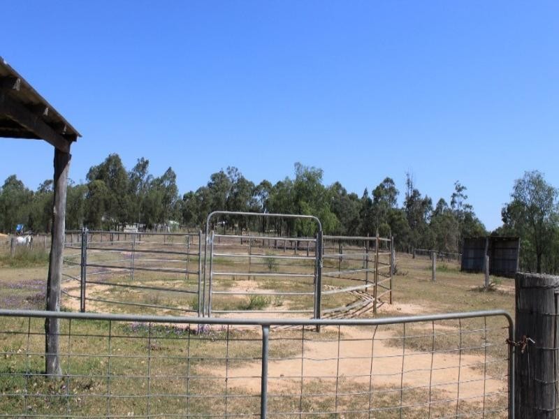 Gatton QLD 4343