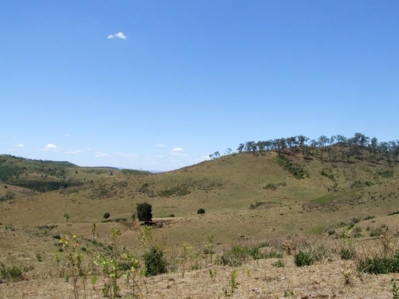 West Haldon QLD 4359