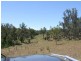 West Haldon QLD 4359