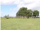 Gatton QLD 4343