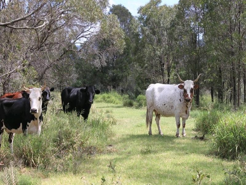 697 Ingoldsby Road, Gatton QLD 4343