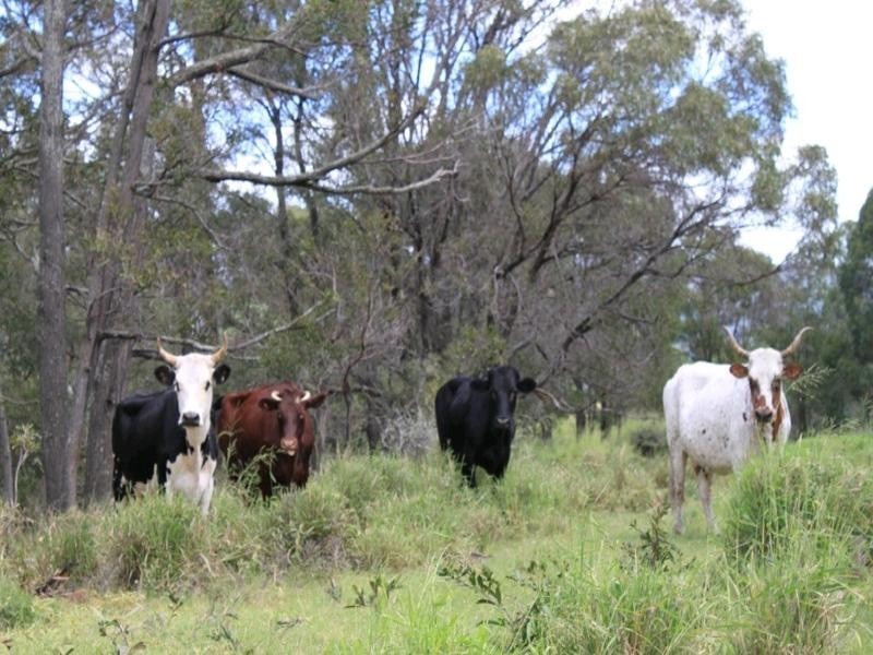 697 Ingoldsby Road, Gatton QLD 4343