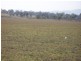 Mount Tarampa QLD 4311