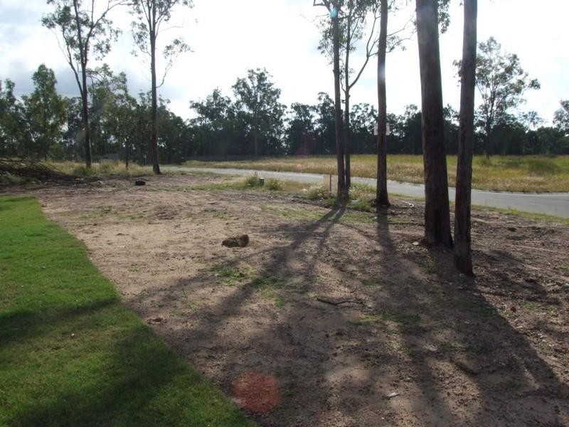 Adare QLD 4343