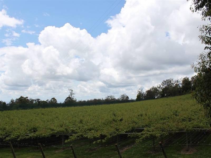 Ravensbourne QLD 4352