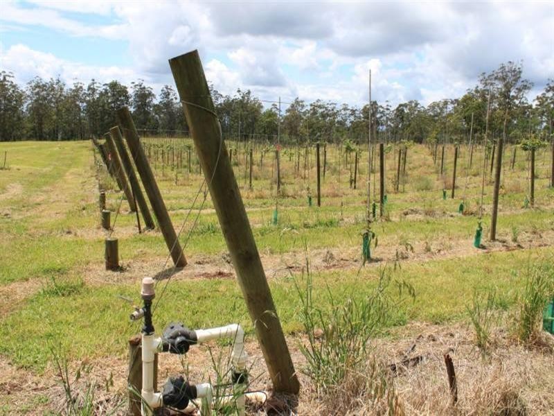 Ravensbourne QLD 4352