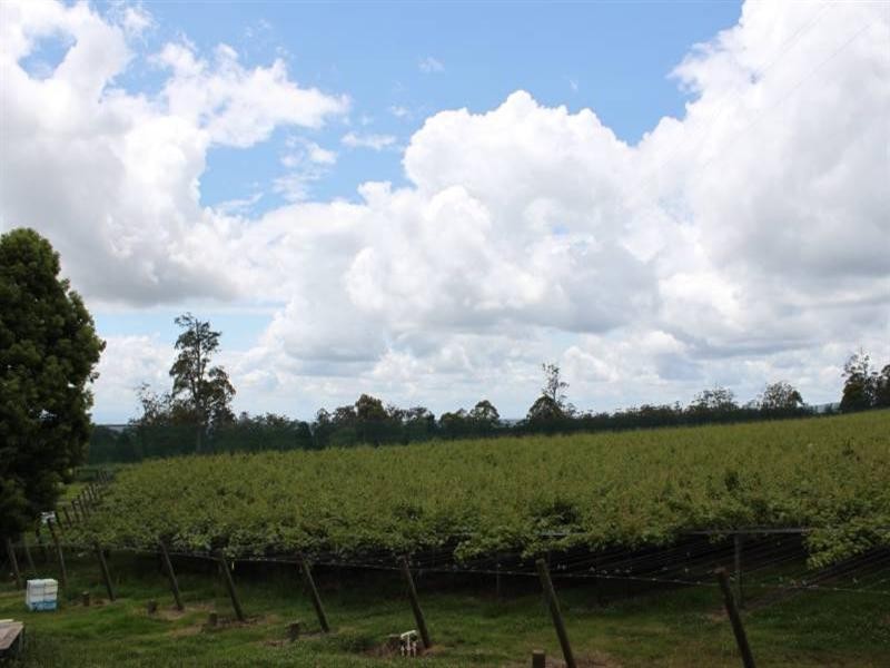 Ravensbourne QLD 4352