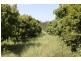 Gatton QLD 4343