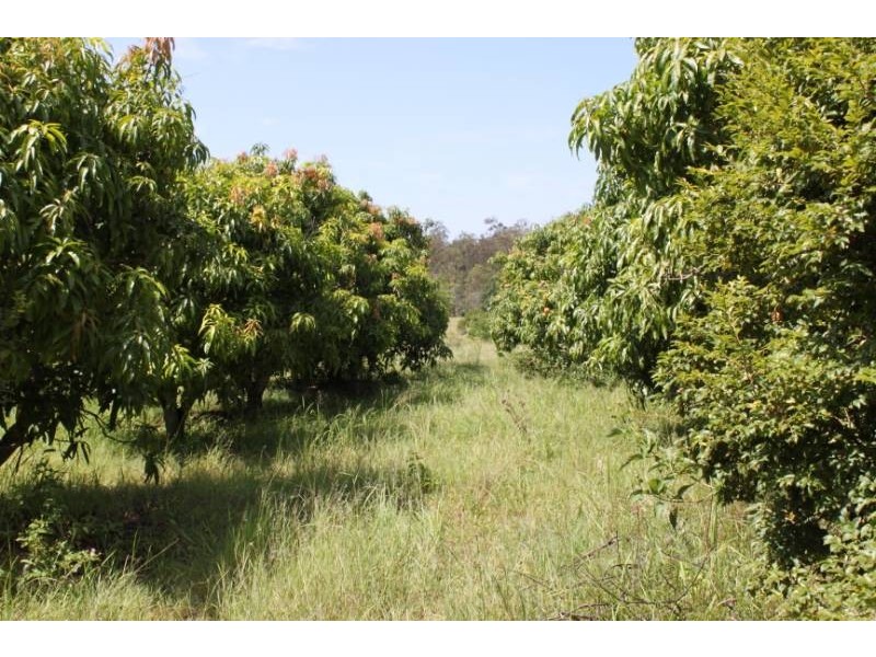 Gatton QLD 4343