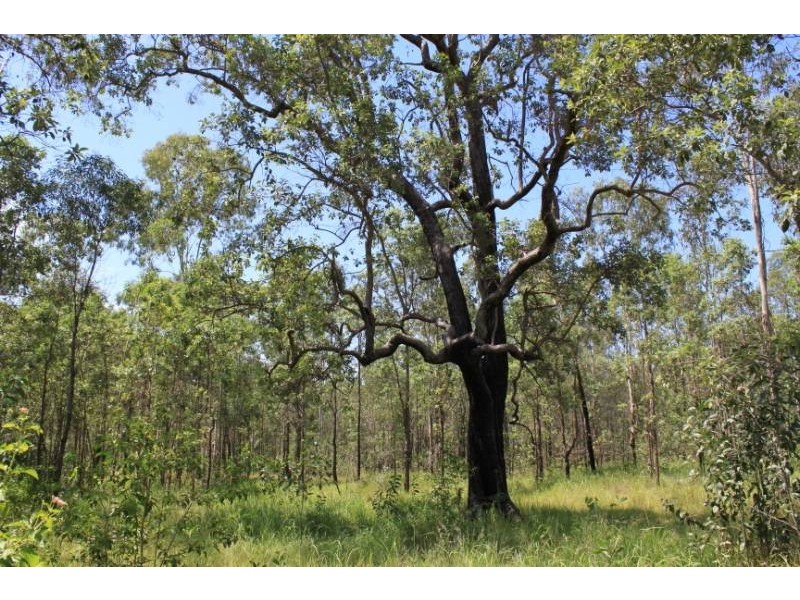 Gatton QLD 4343