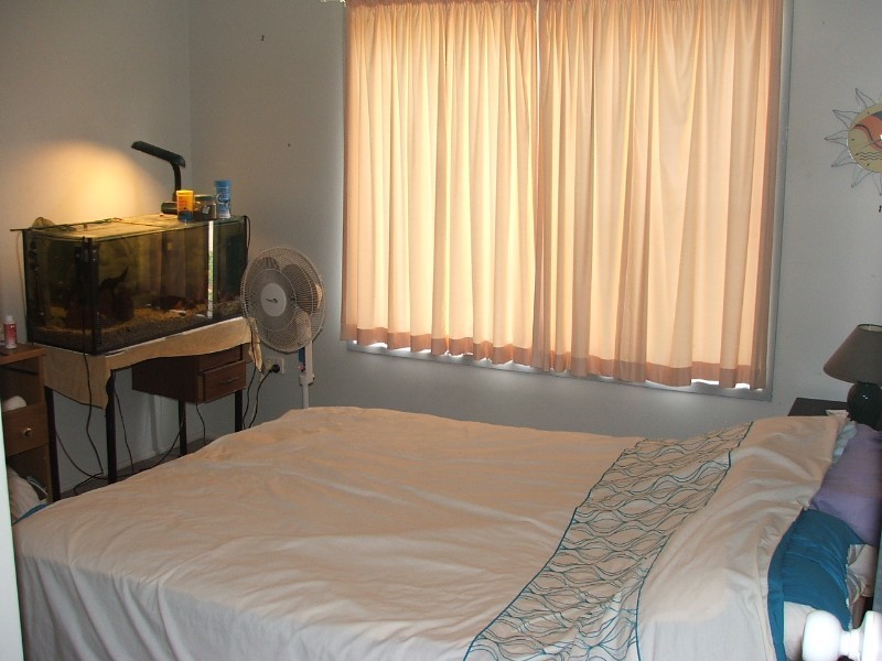 Gatton QLD 4343