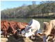 Buaraba QLD 4311