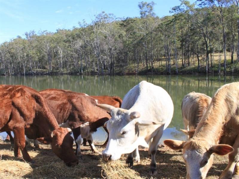 Buaraba QLD 4311