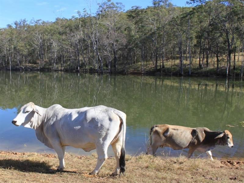 Buaraba QLD 4311