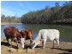 Buaraba QLD 4311