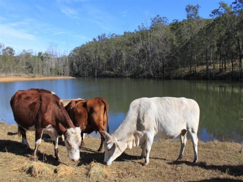 Buaraba QLD 4311