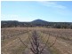 Buaraba QLD 4311