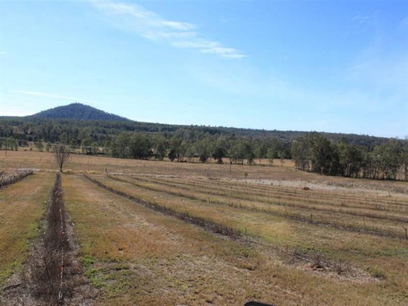 Buaraba QLD 4311