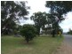 Gatton QLD 4343