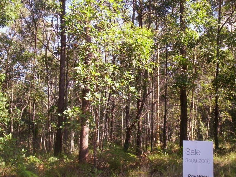 54 Waikiki Beach Road, Russell Island QLD 4184