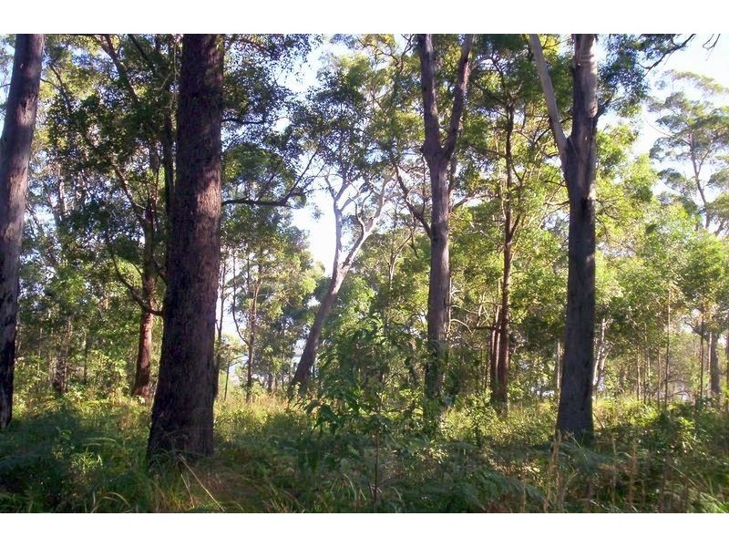 36 Angorra Street, Russell Island QLD 4184