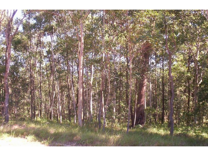 5 Amber Avenue, Russell Island QLD 4184