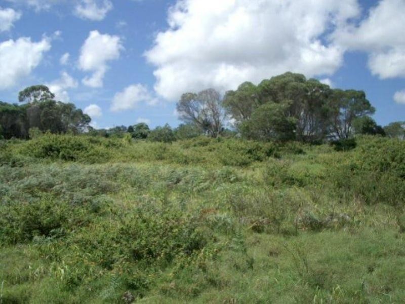 9 Camellia Street, Russell Island QLD 4184