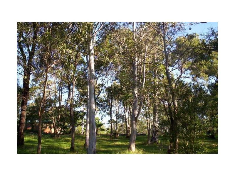 24 Oaklea Street, Russell Island QLD 4184