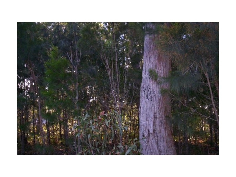 3 Petunia Street, Russell Island QLD 4184