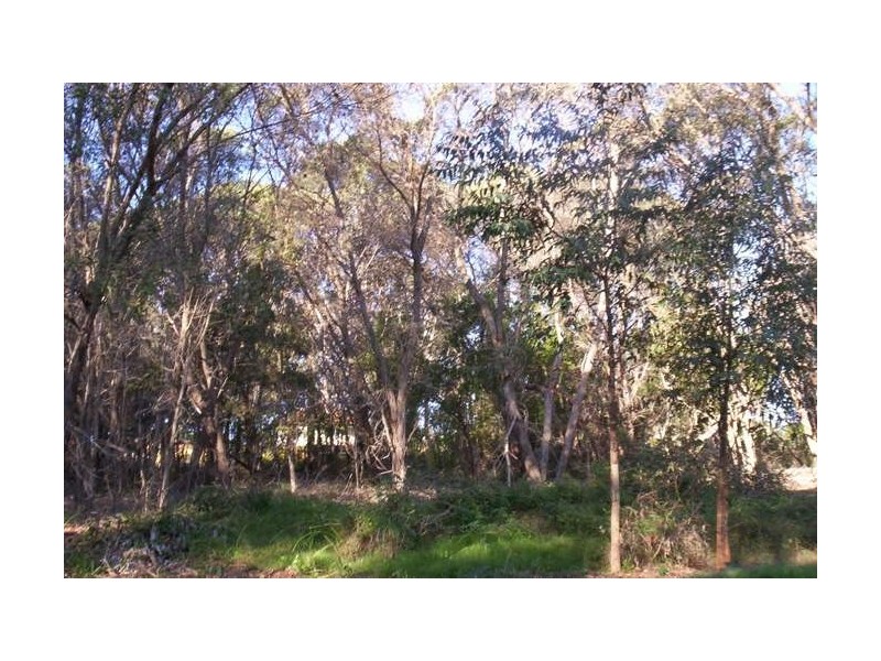 13 Waratah Street, Russell Island QLD 4184