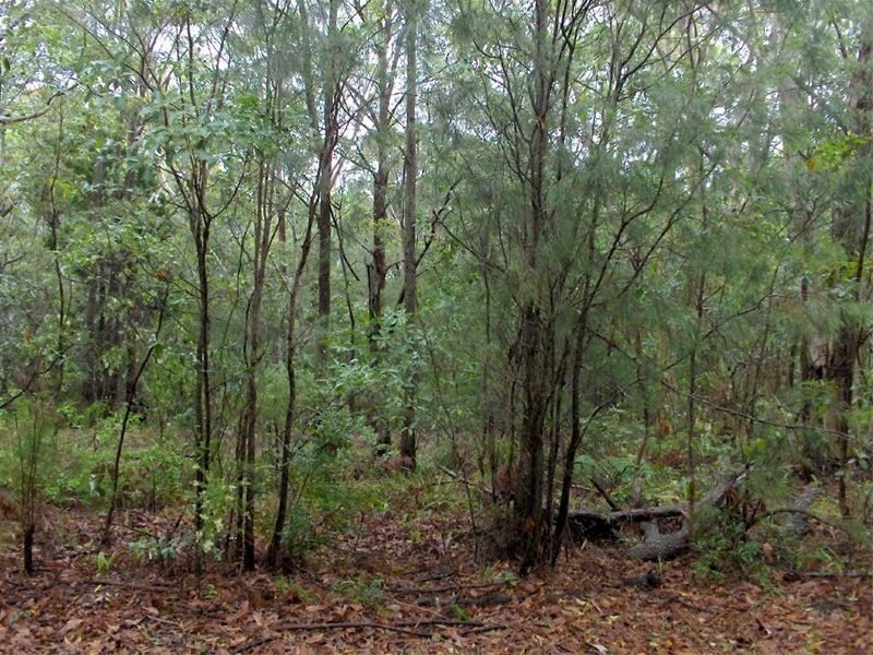 26-28 Taylor Street, Russell Island QLD 4184