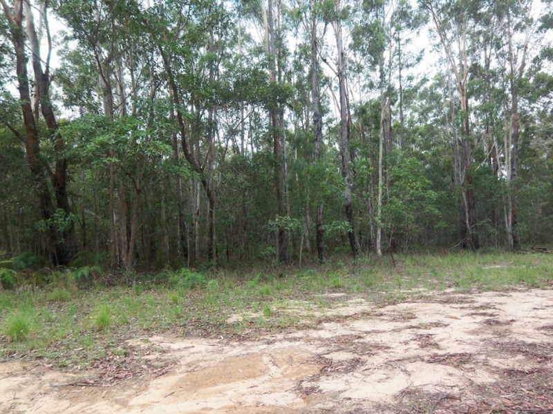 25 Bamberry Street, Russell Island QLD 4184